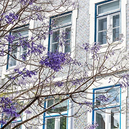 Pensionat Emporium Lisboa